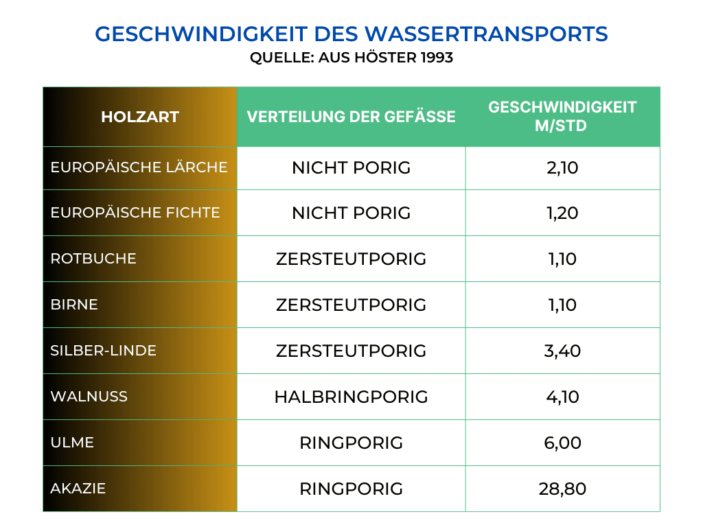 Holzarten und Wassertransport